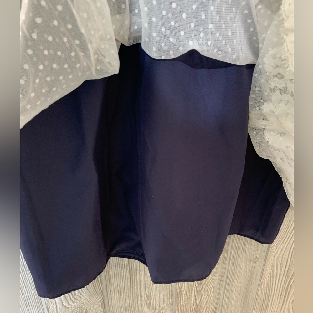 Polka Dot Tulle Lace Navy Blue Lined Dress Jim Hjelm Occasions Size 10 - Picture 5 of 12